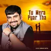 About Tu Mera Pyar Tha Song